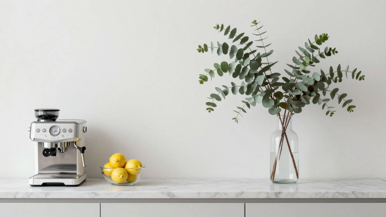 Minimalist kitchen counter with a marble surface, a bowl of lemons, and a eucalyptus branch.
